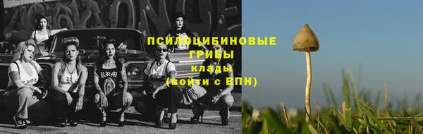 альфа пвп Дмитровск