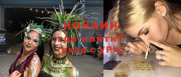 индика Алексеевка